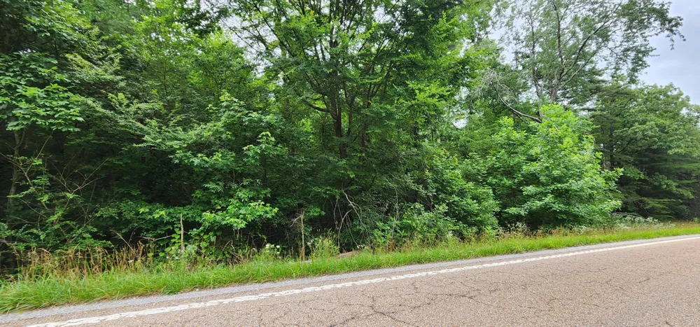 Sequatchie Mountain Sequatchie, TN 37374