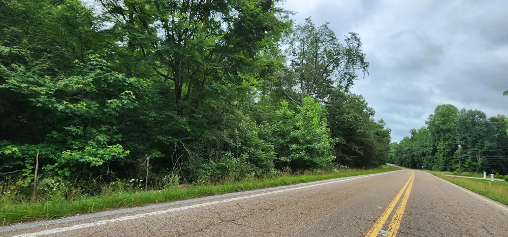 Sequatchie Mountain Sequatchie, TN 37374