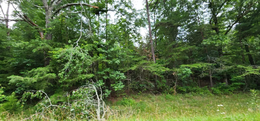 Sequatchie Mountain Sequatchie, TN 37374