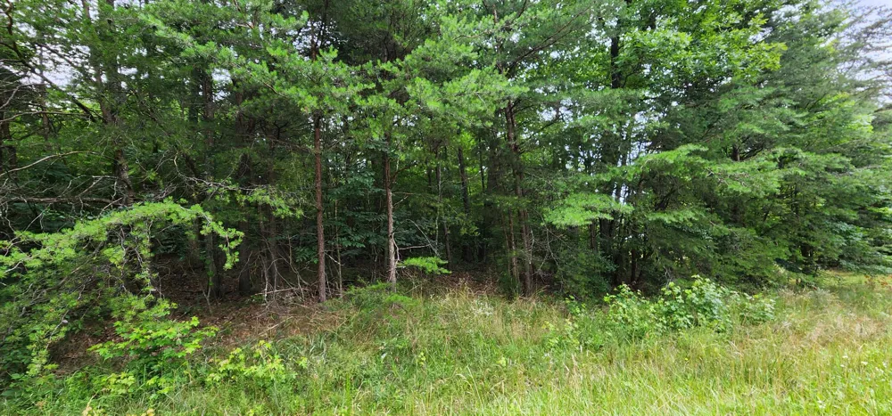 Sequatchie Mountain Sequatchie, TN 37374