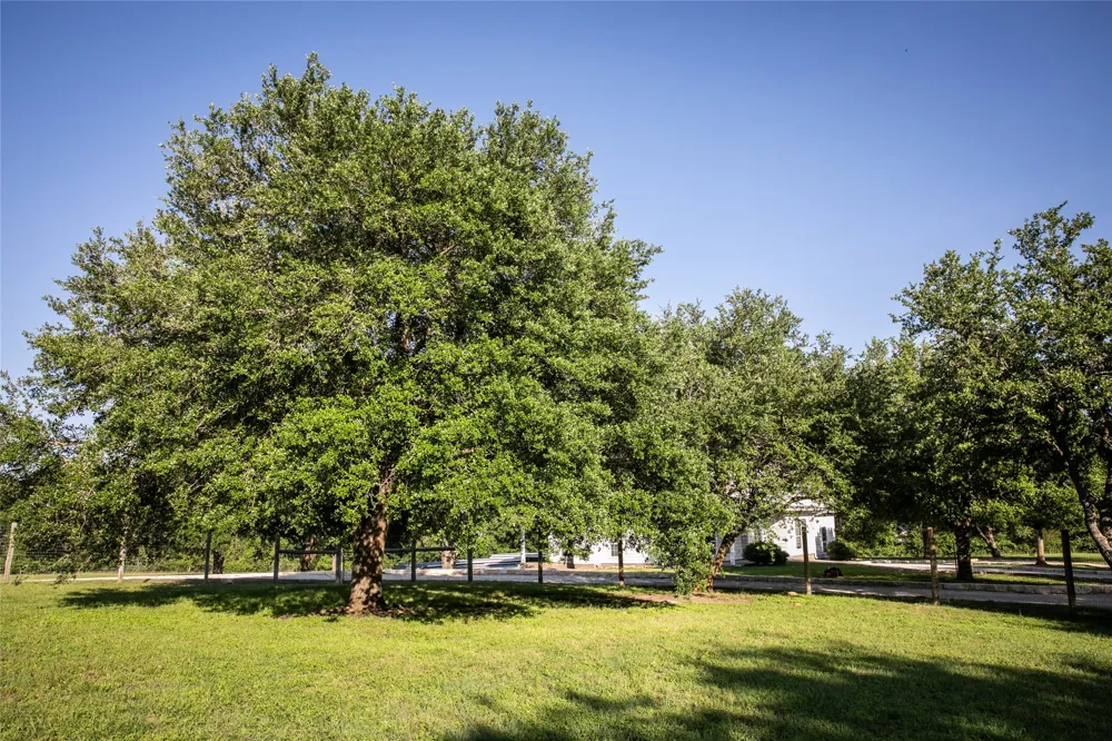 8660 Cedar Hill Road Brenham, TX 77833