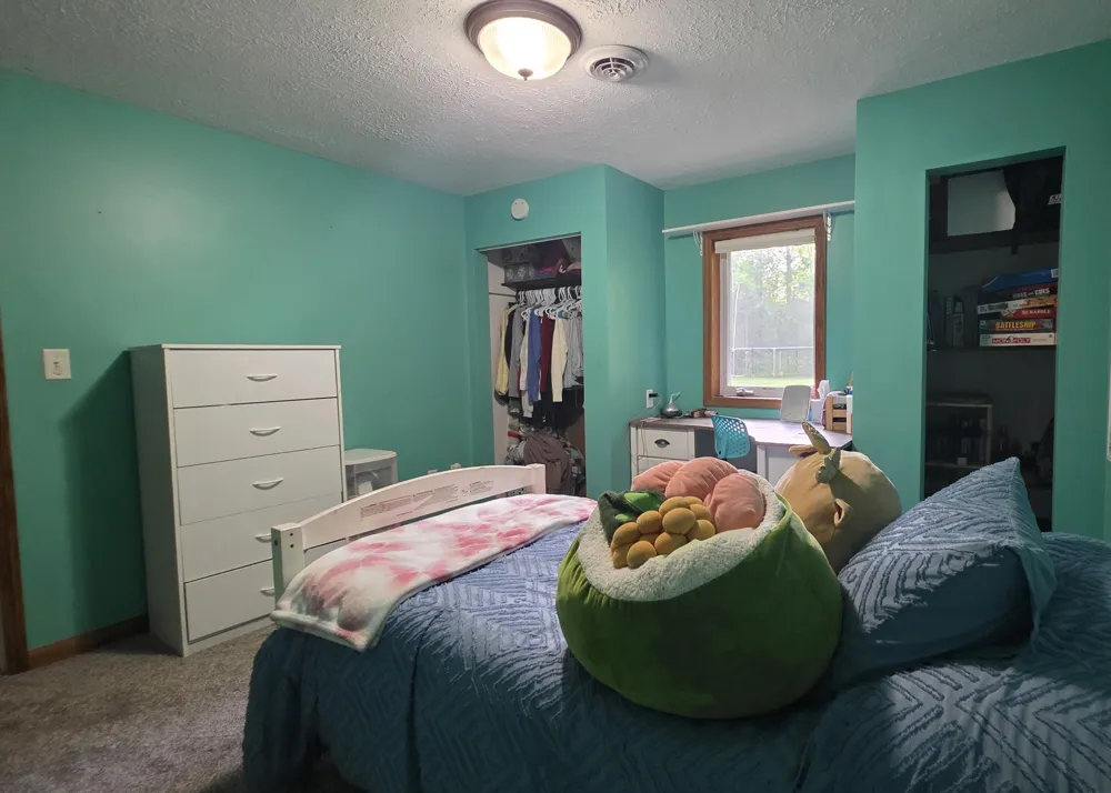 2790 W Wing Road Deerfield Township, MI 48858