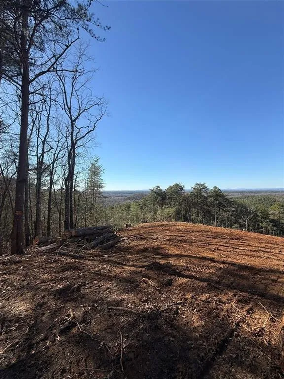 710 Railey Ridge NE Ranger, GA 30734