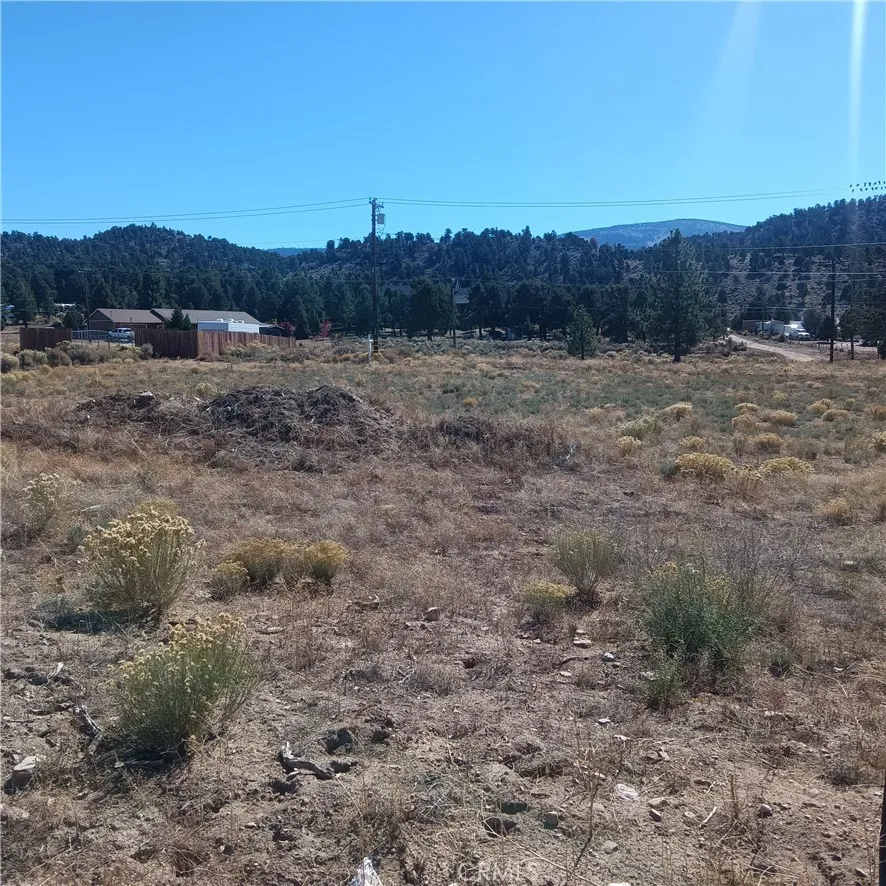 777 Old Pioneer Town Road Baldwin Lake, CA 92314