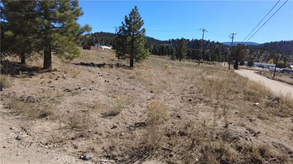777 Old Pioneer Town Road Baldwin Lake, CA 92314
