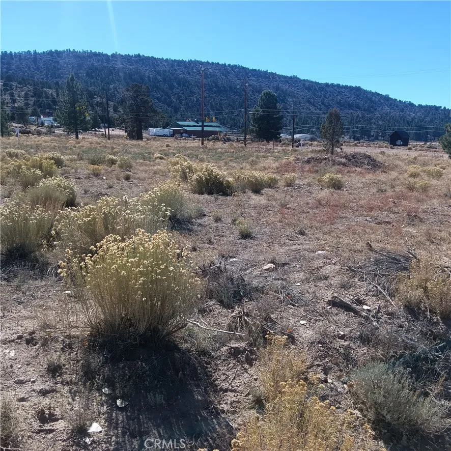 777 Old Pioneer Town Road Baldwin Lake, CA 92314