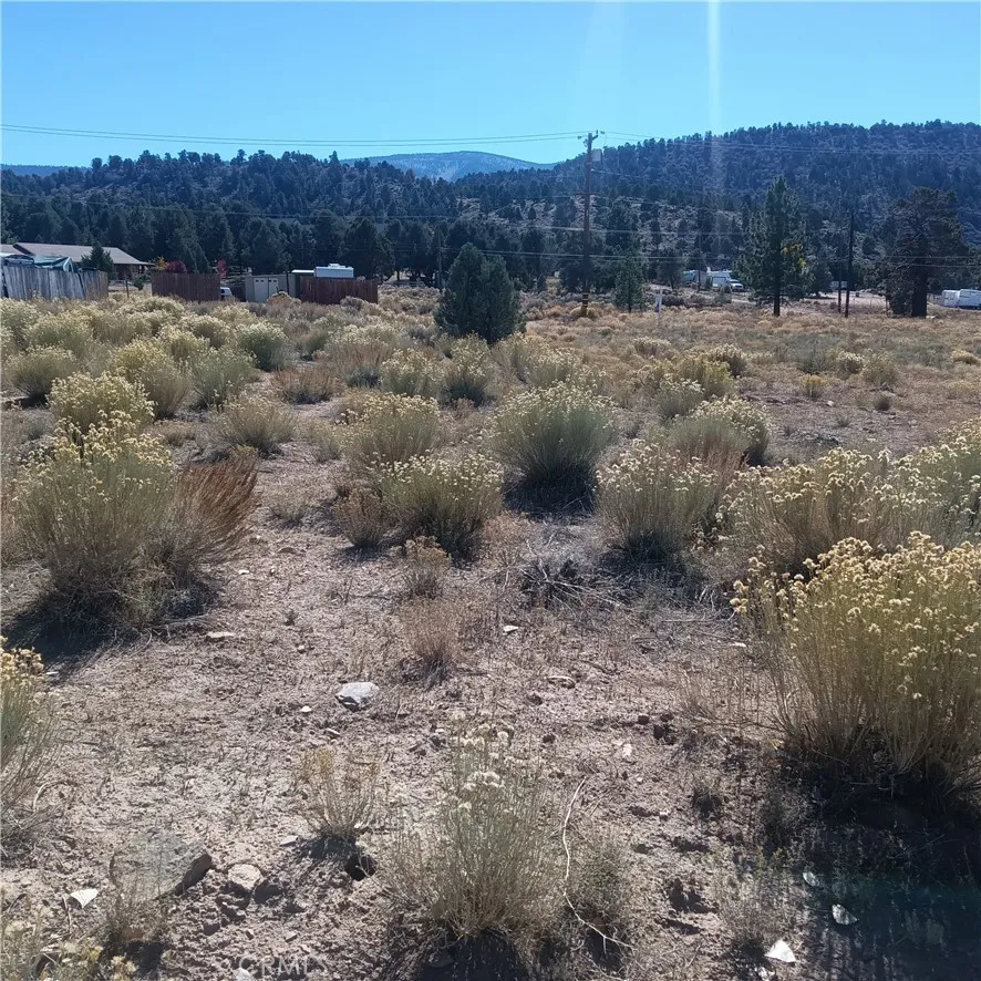 777 Old Pioneer Town Road Baldwin Lake, CA 92314
