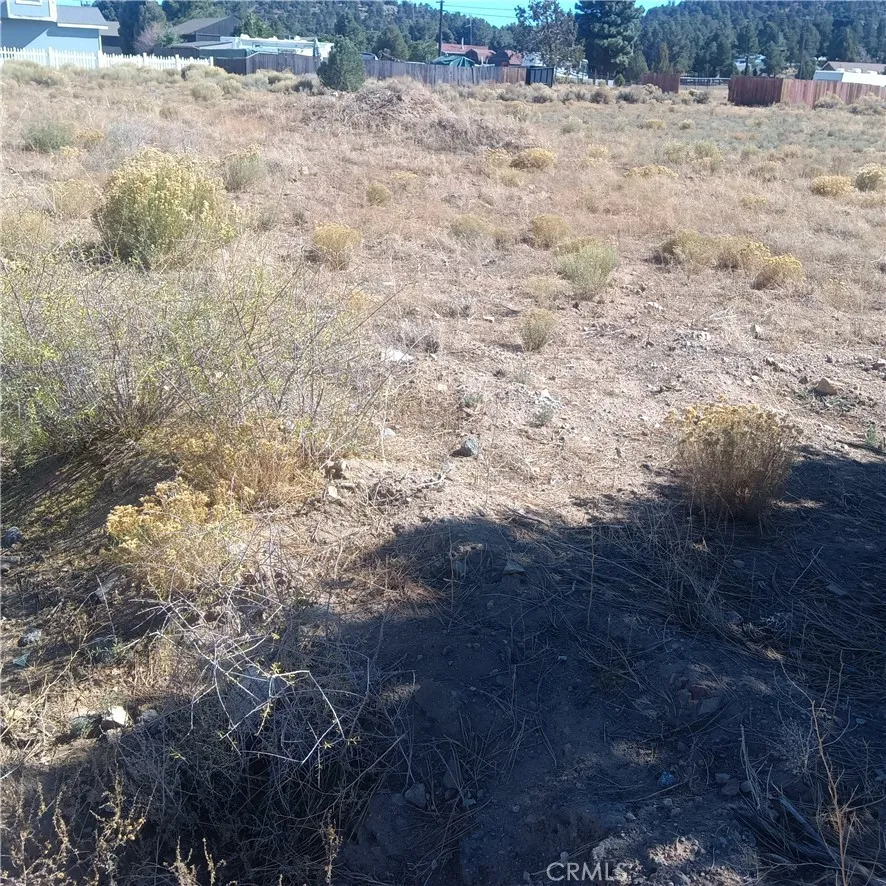 777 Old Pioneer Town Road Baldwin Lake, CA 92314