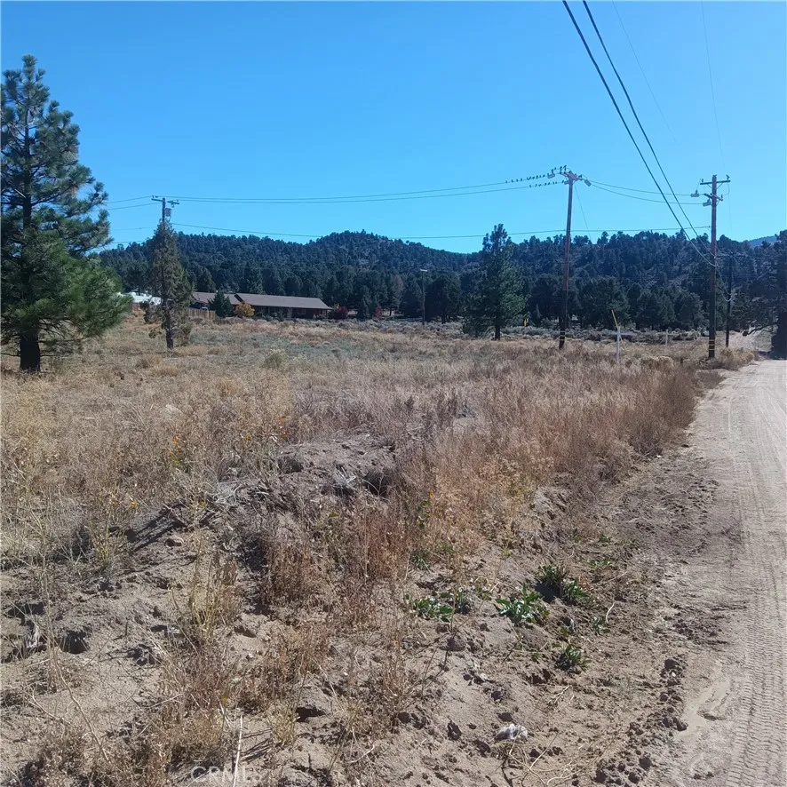 777 Old Pioneer Town Road Baldwin Lake, CA 92314