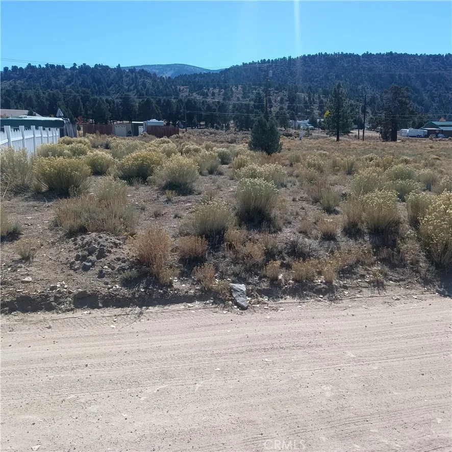 777 Old Pioneer Town Road Baldwin Lake, CA 92314