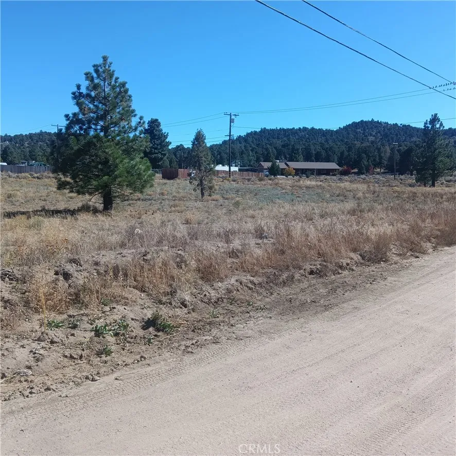 777 Old Pioneer Town Road Baldwin Lake, CA 92314