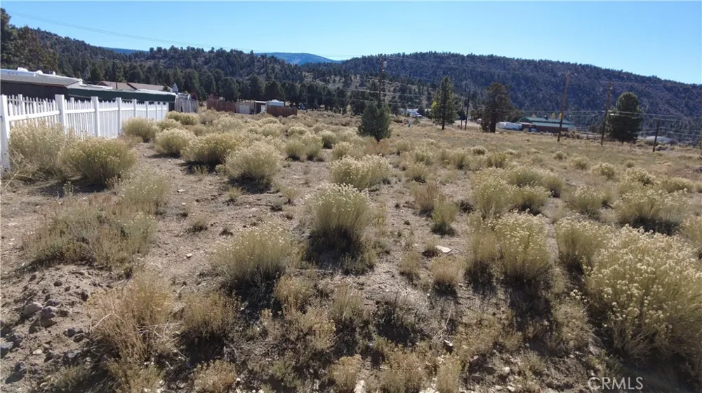 777 Old Pioneer Town Road Baldwin Lake, CA 92314