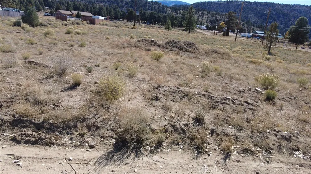 777 Old Pioneer Town Road Baldwin Lake, CA 92314