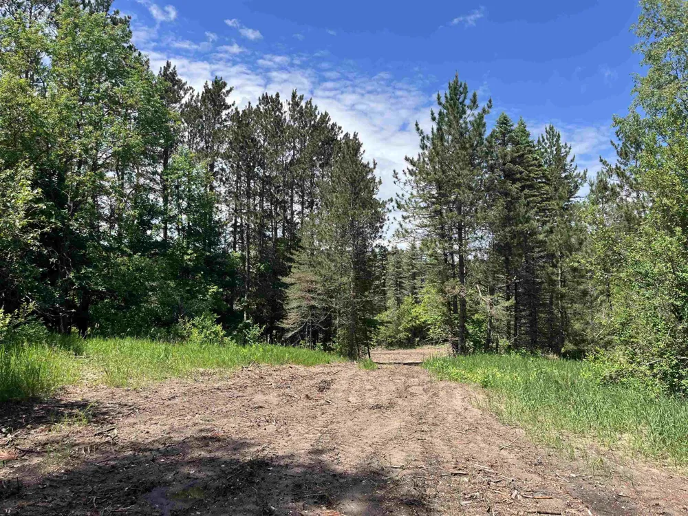 Maple City Highway Almira Township, MI 49650