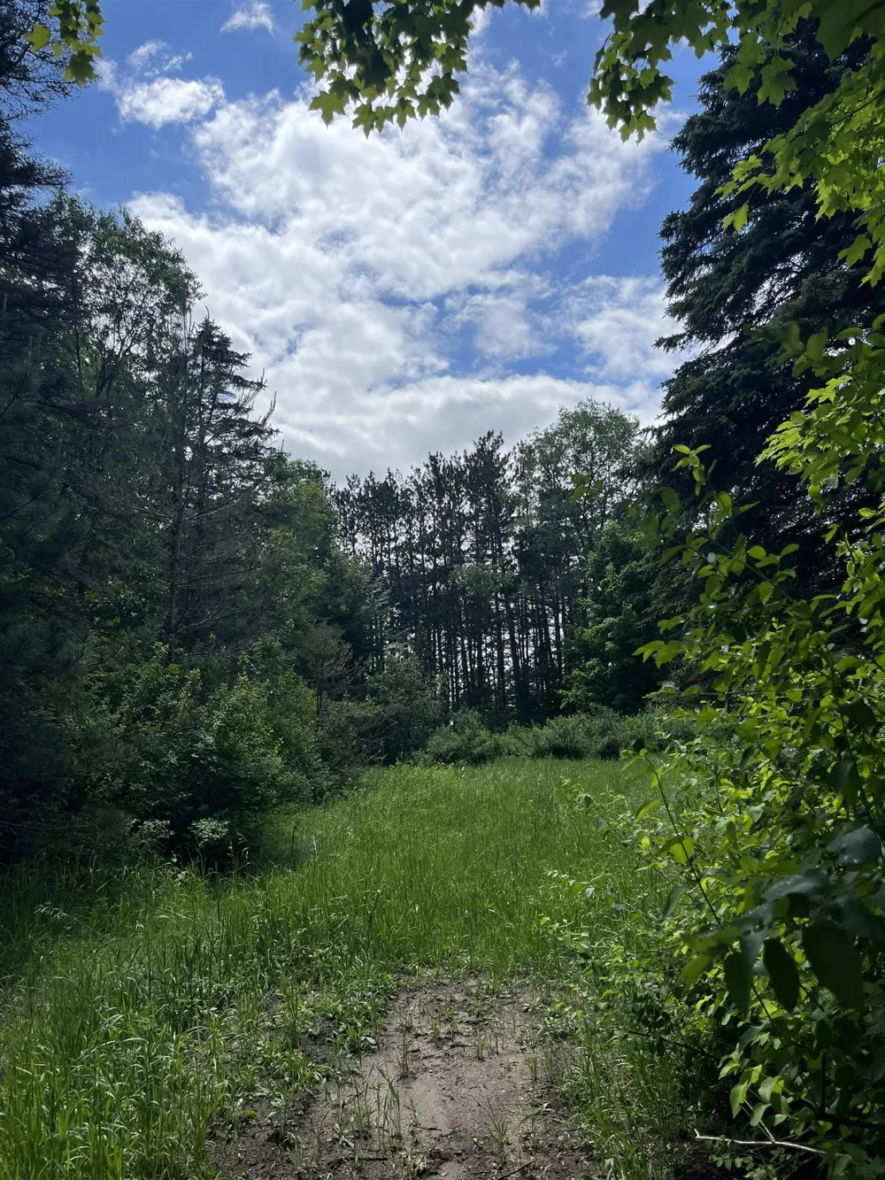 Maple City Highway Almira Township, MI 49650