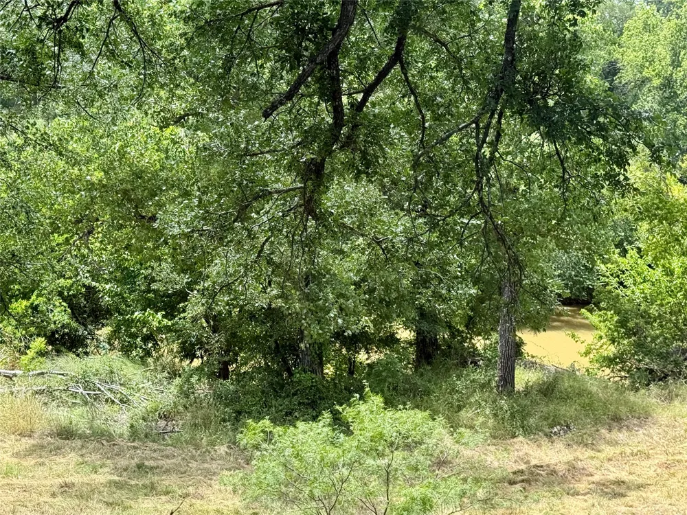 580 S 430 Mullin, TX 76864