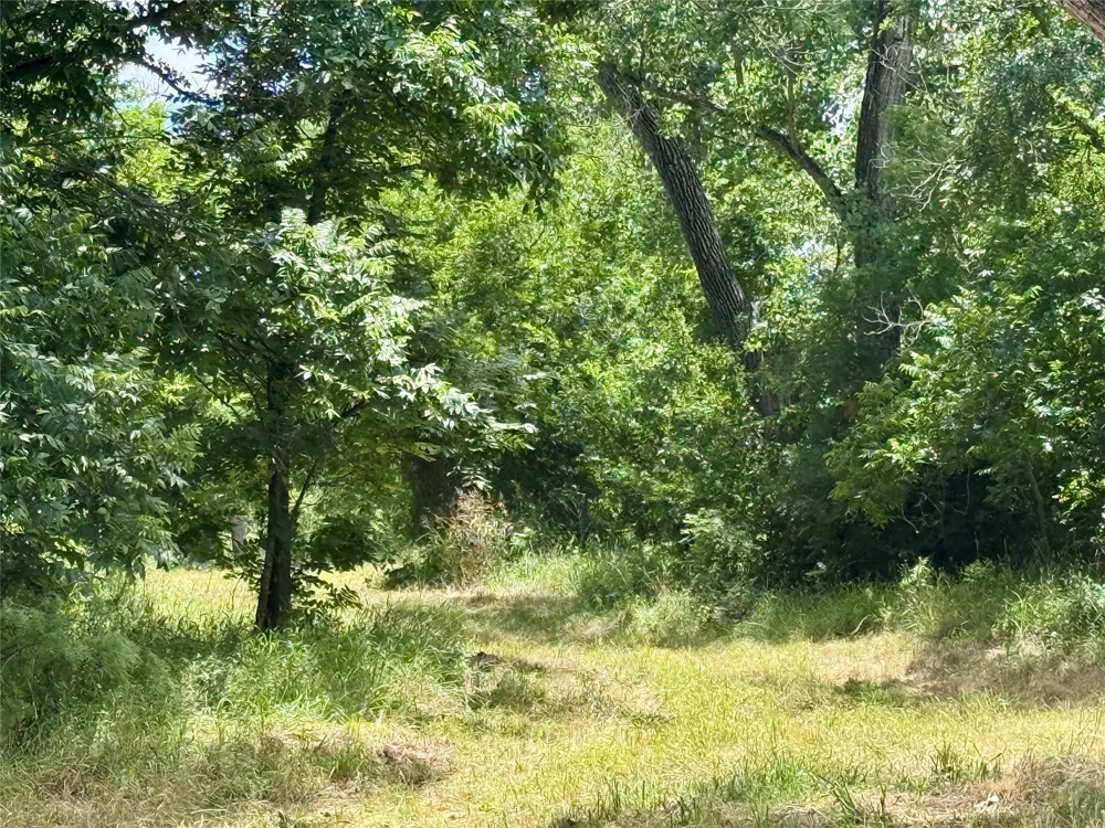 580 S 430 Mullin, TX 76864