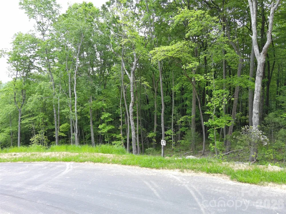 Lot 17 Northview Drive Hendersonville, NC 28791