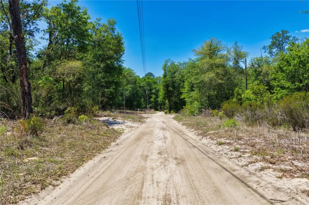 2 NE 125TH STREET Bronson, FL 32621