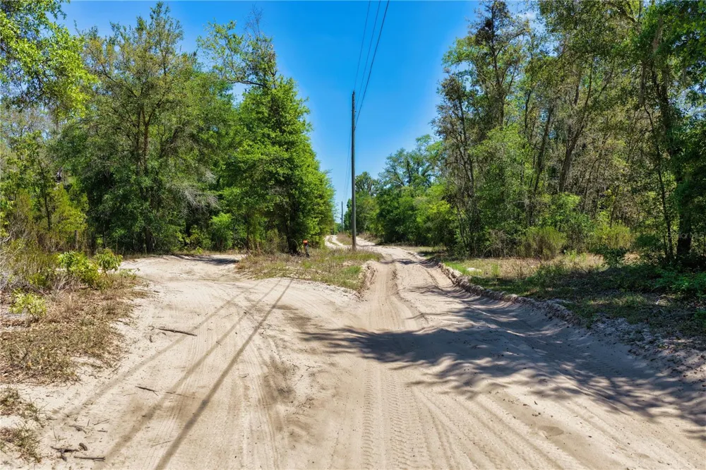 2 NE 125TH STREET Bronson, FL 32621