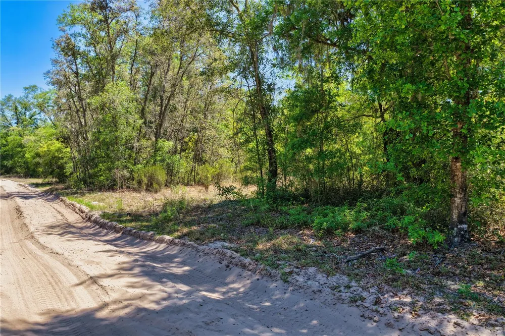 2 NE 125TH STREET Bronson, FL 32621