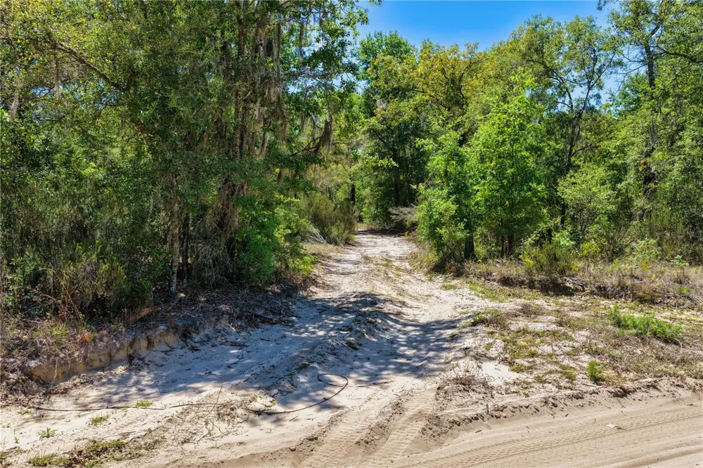 2 NE 125TH STREET Bronson, FL 32621