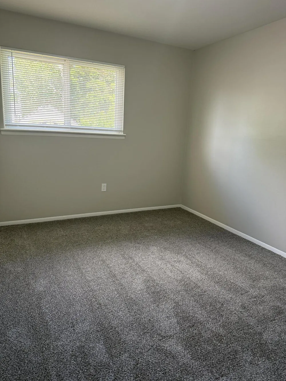 20294 Empire Street Taylor, MI 48180