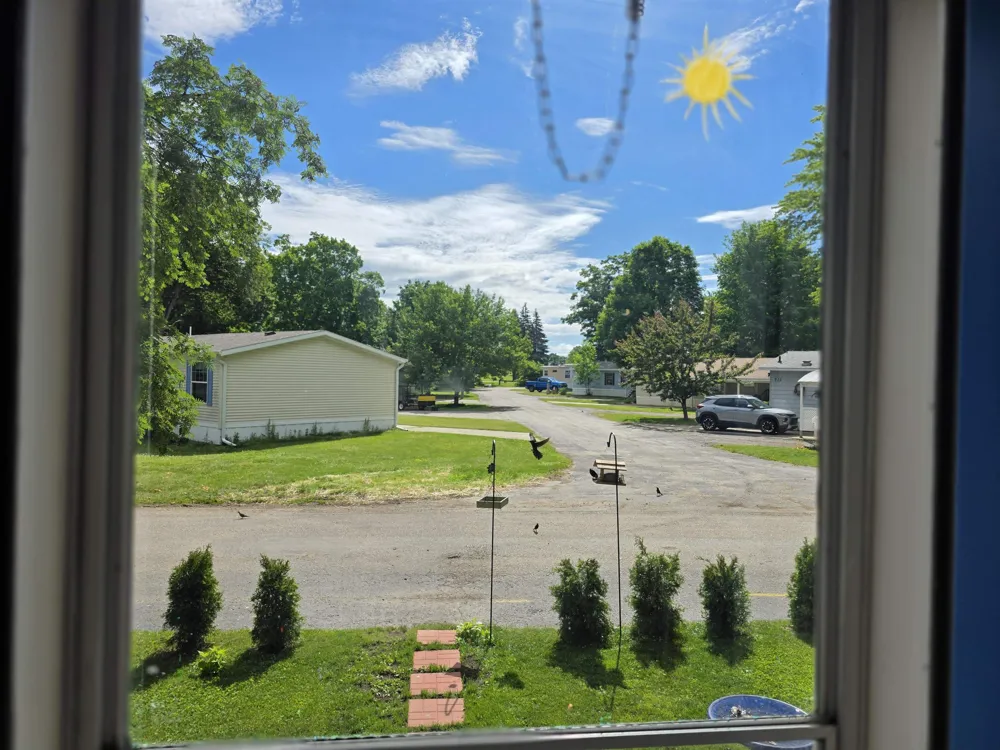 616 Shadywood Street Elk Rapids Township, MI 49629