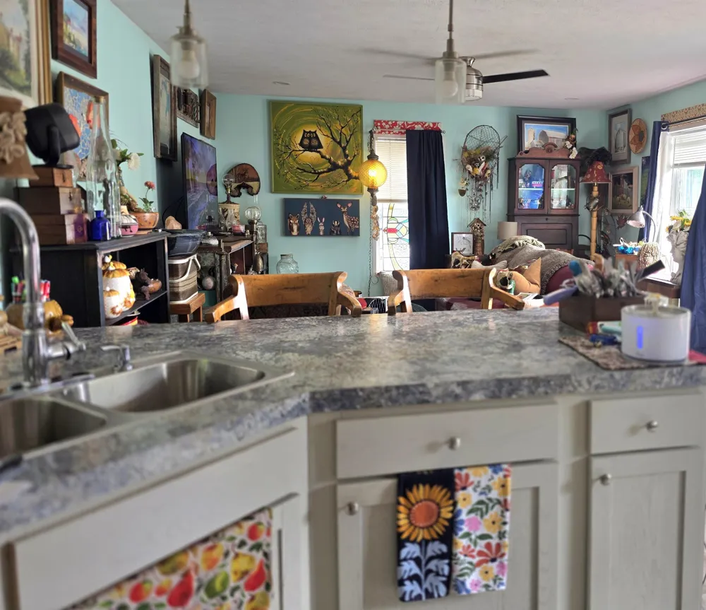 616 Shadywood Street Elk Rapids Township, MI 49629