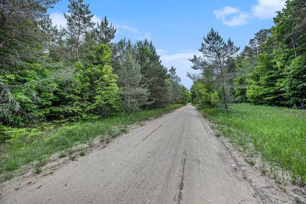 Lamerson Lane Inland Township, MI 49643