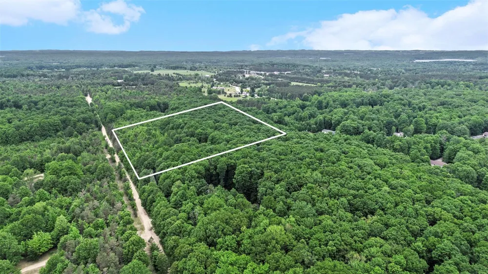 Lamerson Lane Inland Township, MI 49643