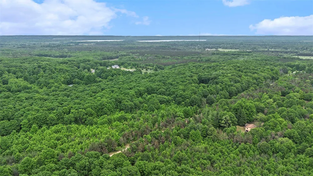 Lamerson Lane Inland Township, MI 49643