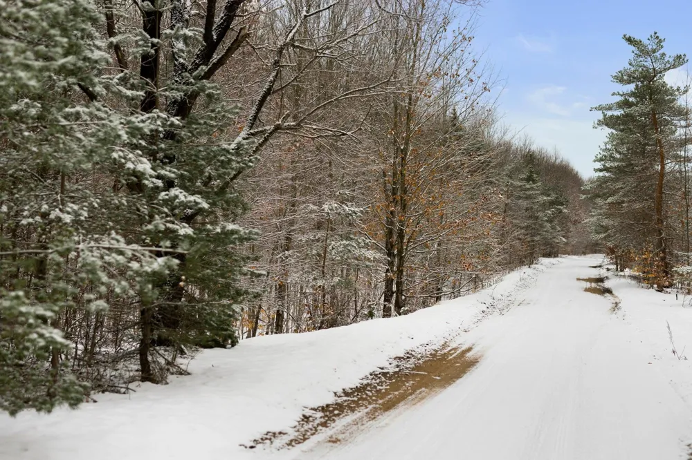 Lamerson Lane Inland Township, MI 49643