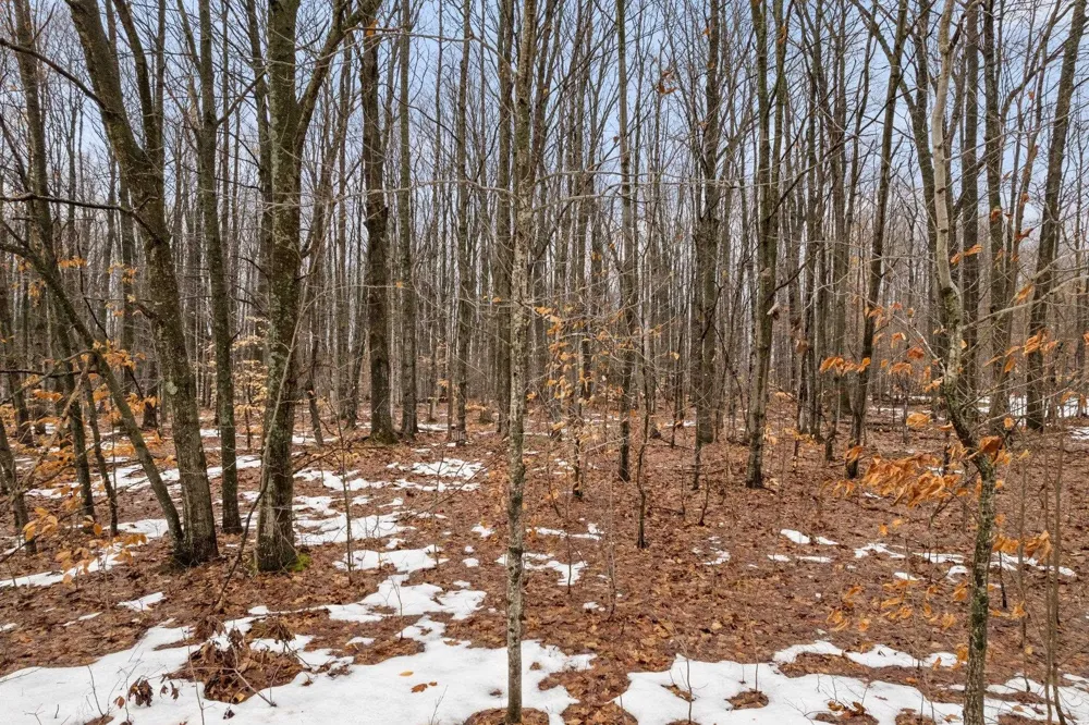 Lamerson Lane Inland Township, MI 49643