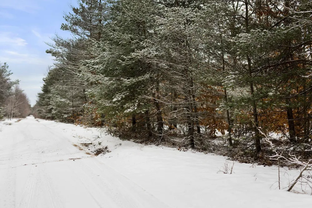 Lamerson Lane Inland Township, MI 49643