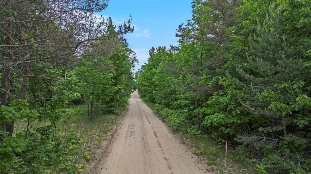 Lamerson Lane Inland Township, MI 49643