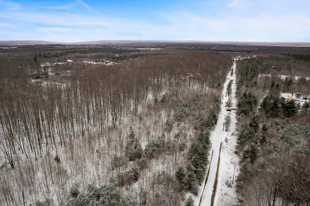 Lamerson Lane Inland Township, MI 49643