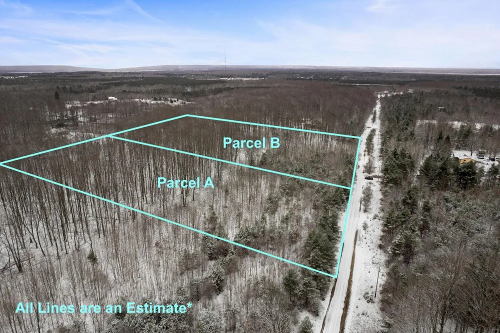 Lamerson Lane Inland Township, MI 49643