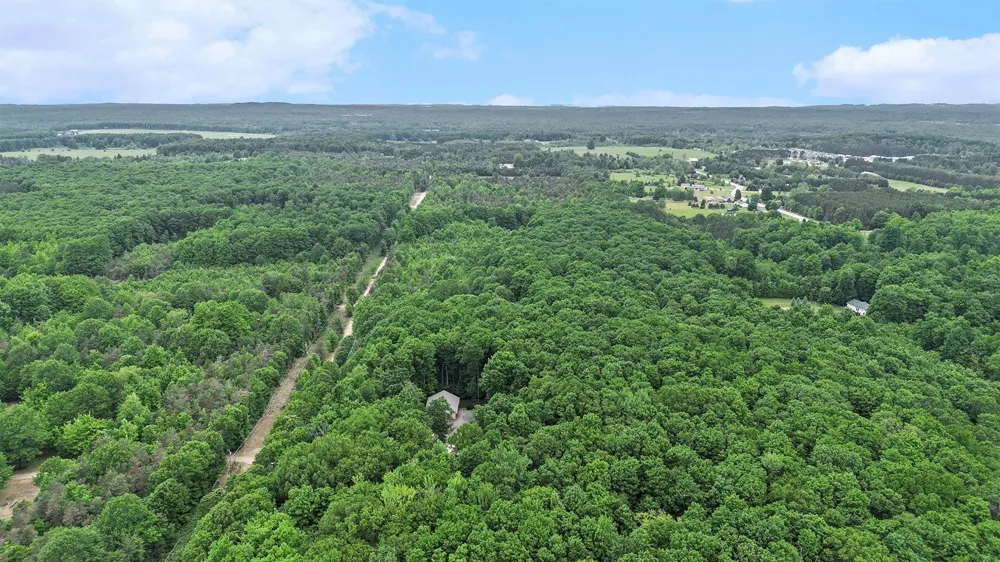 Lamerson Lane Inland Township, MI 49643