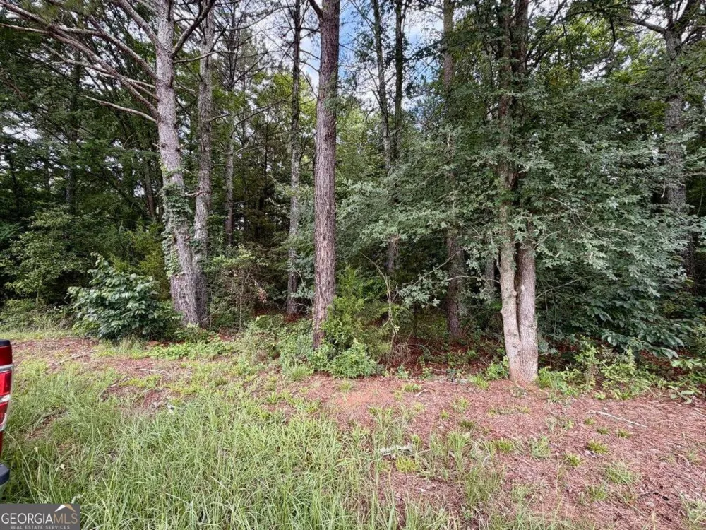 0 Maddox Hoschton, GA 30549