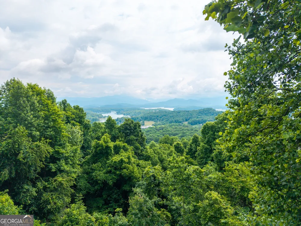 1748 Harris Ridge RD Young Harris, GA 30582