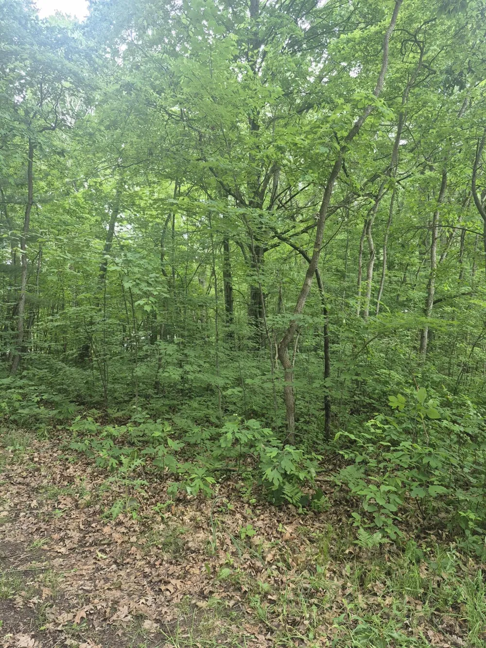 6622 E Spruce Road Fountain, MI 49410