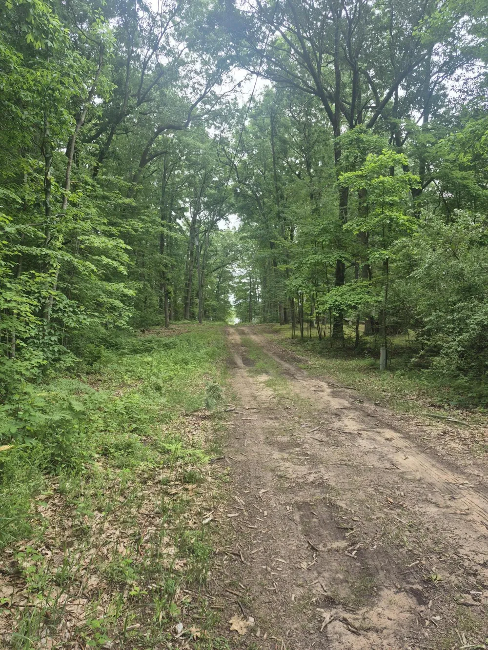 6622 E Spruce Road Fountain, MI 49410