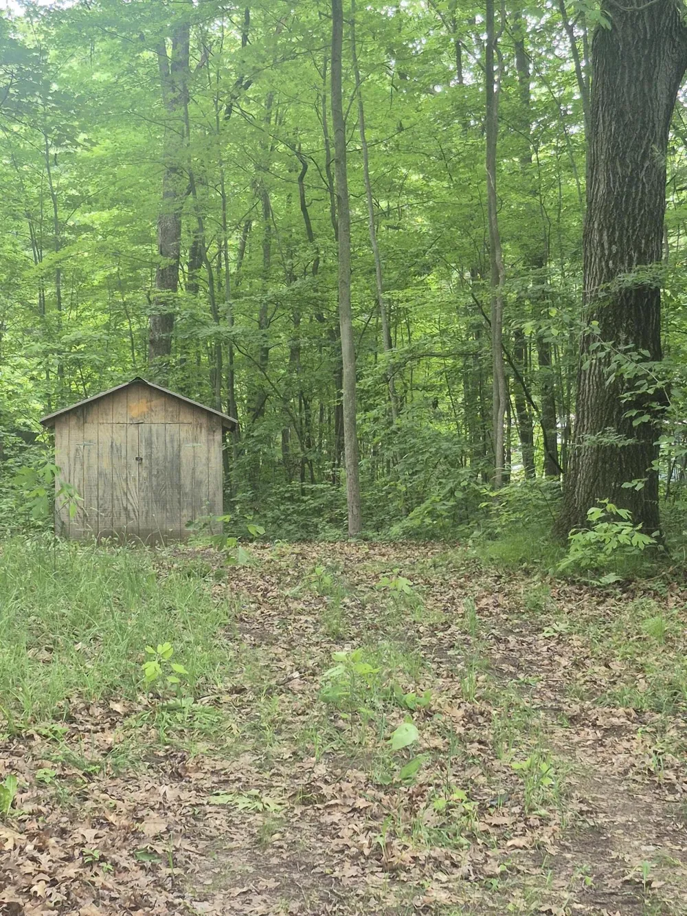 6622 E Spruce Road Fountain, MI 49410
