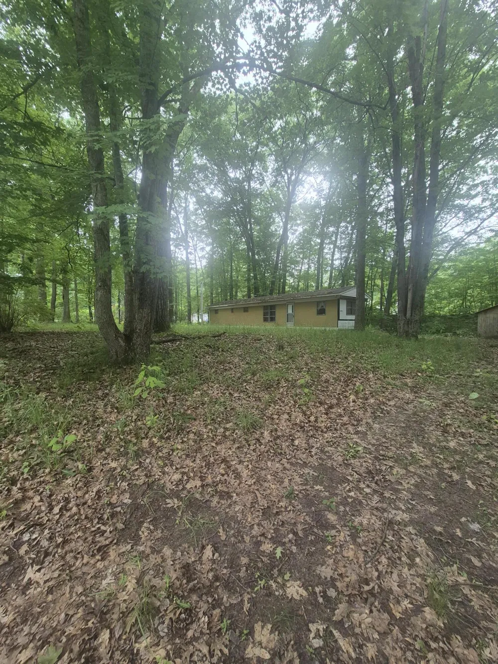 6622 E Spruce Road Fountain, MI 49410