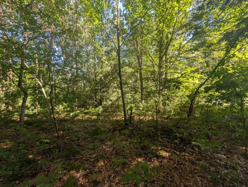2325 Judson Road Fruitport Charter Township, MI 49456