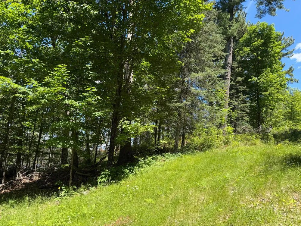 tbd Muskie Bay Road NE Longville, MN 56655