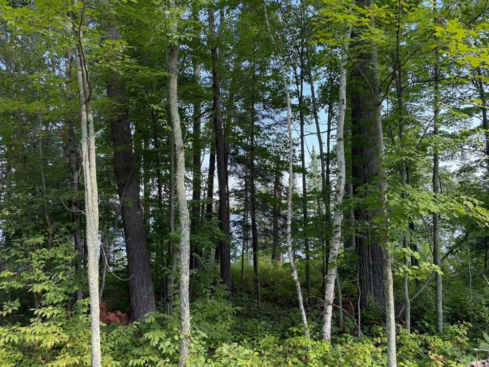 tbd Muskie Bay Road NE Longville, MN 56655