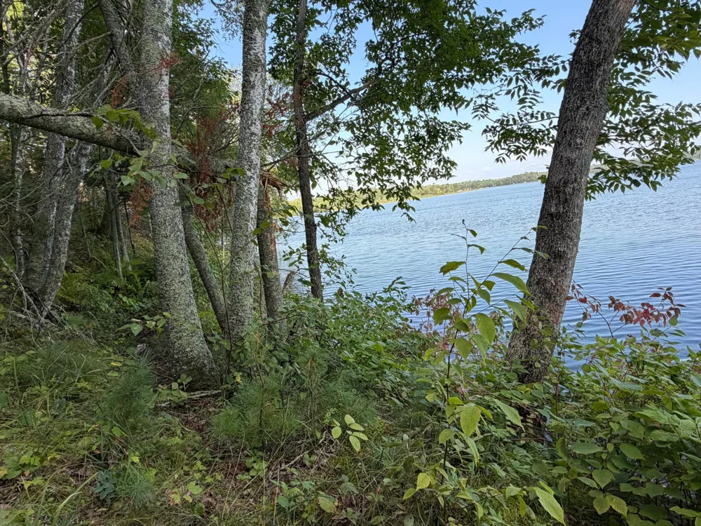 tbd Muskie Bay Road NE Longville, MN 56655