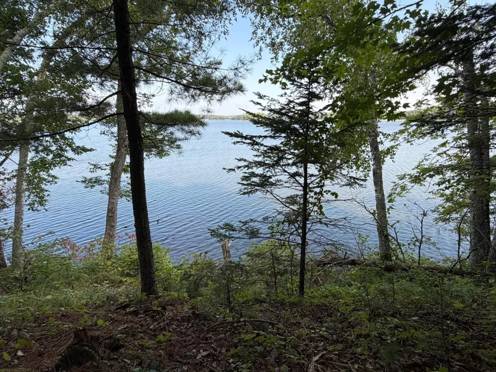 tbd Muskie Bay Road NE Longville, MN 56655